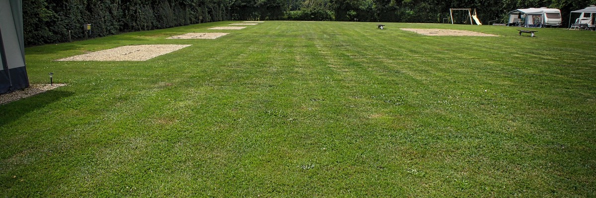 Camping Koelert - Terrein - Hoofdveld 1