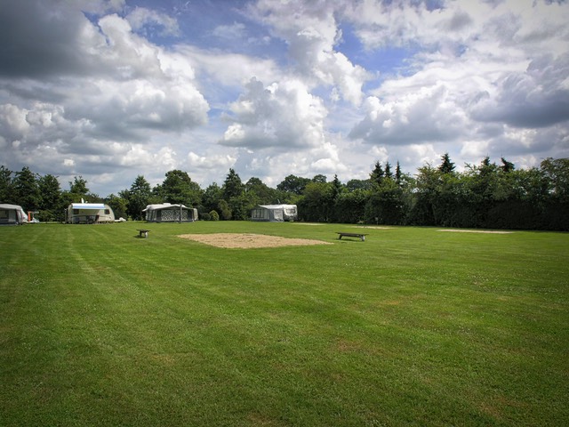 Camping Koelert - Terrein - Hoofdveld 6