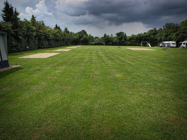 Camping Koelert - Terrein - Hoofdveld 1